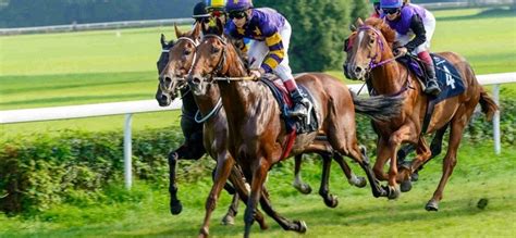 andrew mount tips|Andrew Mount (Racing and Football Outlook).